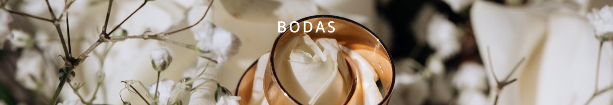 Bodas