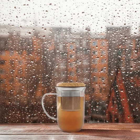 Caneca de Vidro com Infusor Minima 500 ml