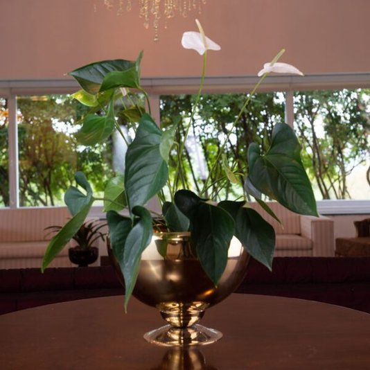 Champanheira Positano 10L Ouro 24K Riva