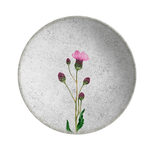 Conjunto 06 Pratos Fundos Coup Cirsium Alleanza Cerâmica 