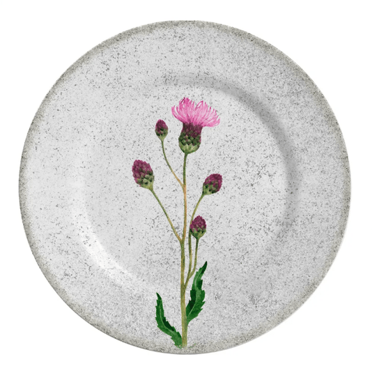 Conjunto 06 Pratos Rasos Cirsium  Alleanza Cerâmica