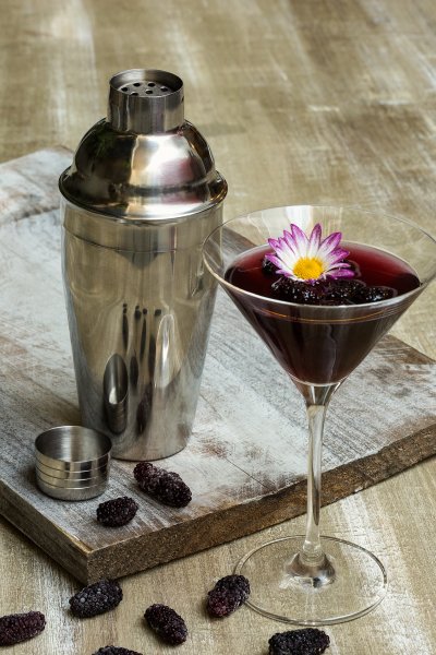 Conjunto 6 Taças de Cristal Para Coquetel Gastro Bohemia 280ml