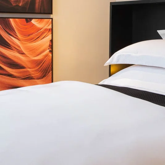 Capa Para Duvet King Risc 1000 Fios Artelassê Branco
