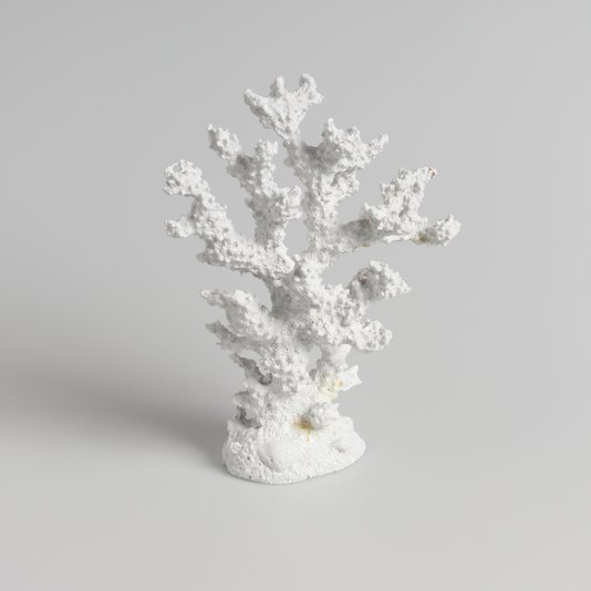 Enfeite Coral The Home Decorações Branco