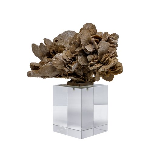 Escultura Rosa do Deserto em Resina City Imports