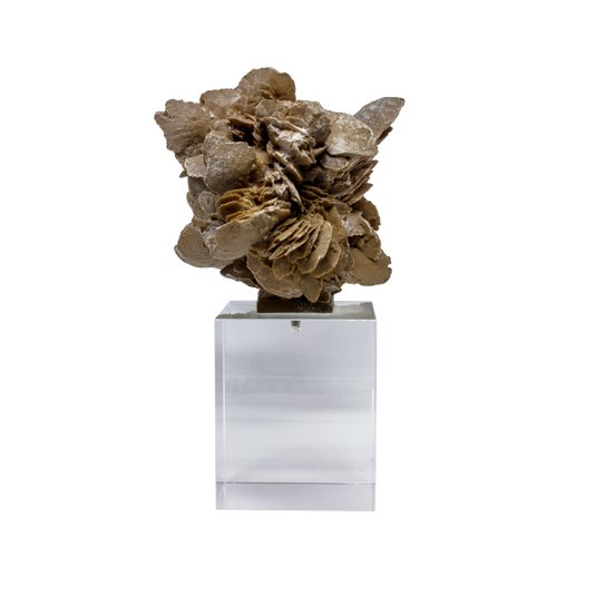 Escultura Rosa do Deserto em Resina City Imports