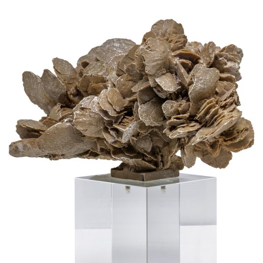 Escultura Rosa do Deserto em Resina City Imports