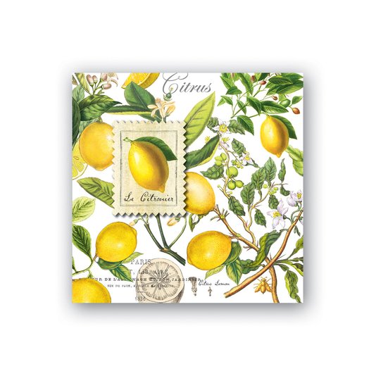 Guardanapo Cocktail Lemon Basil Michel Design 12,7x12,7cm