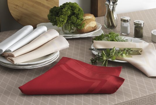 Guardanapo Gourmet 51x51cm Branco Karsten