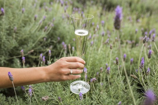 Jogo 06 Taças Para Champagne de Cristal Strauss 150ml
