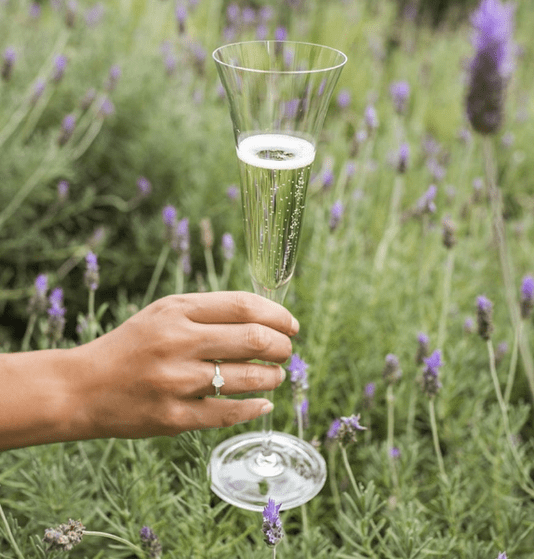Jogo 02 Taças Para Champagne de Cristal Strauss 150ml