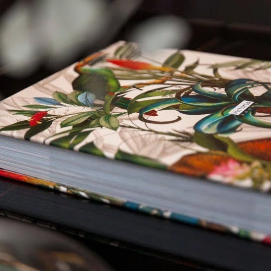 Livro Brasil Arquitetura e Decorações Ícones 2 Queen Books