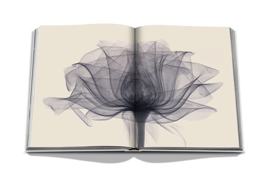 Livro Flowers: Art & Bouquets - Assouline