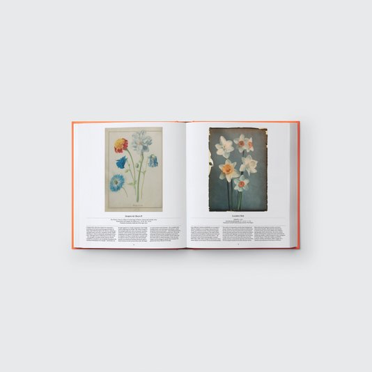 Livro Flower: Exploring The World In Bloom