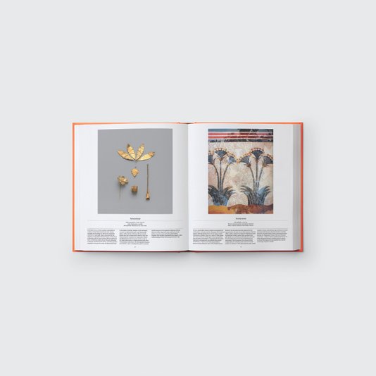 Livro Flower: Exploring The World In Bloom
