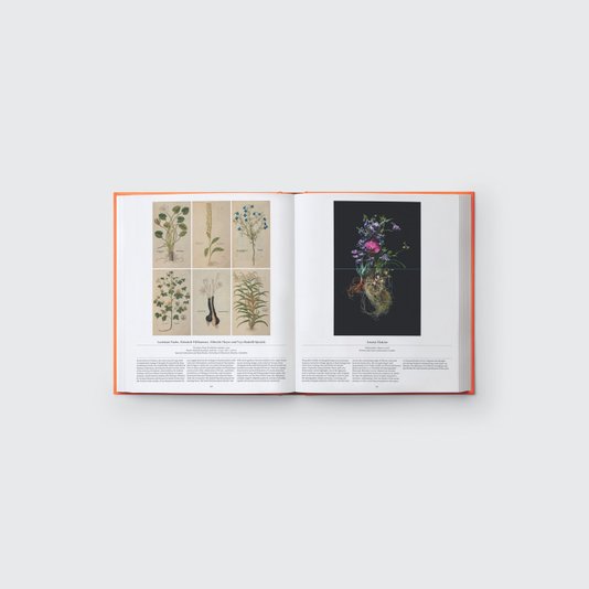 Livro Flower: Exploring The World In Bloom