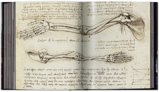 Livro Leonardo: The Complete Paintings and Drawings - Taschen