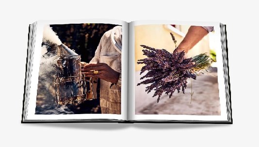 Livro Louis Vuitton Manufactures - Assouline