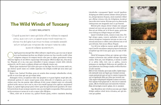 Livro On Tuscany: From Brunello to Bolgheri, Wine Tales From The Heart Of Italy Queen Books