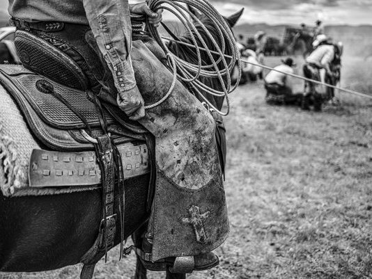 Livro Ranchland: Wagonhound