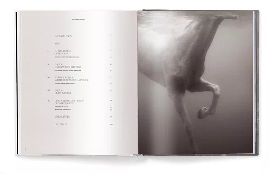 Livro Untamed Spirits: Horses From Around The World - Drew Queen Books
