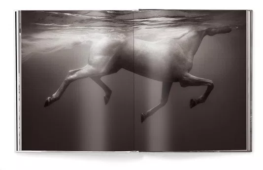 Livro Untamed Spirits: Horses From Around The World - Drew Queen Books