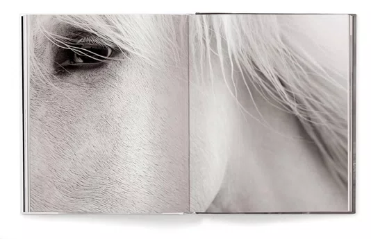 Livro Untamed Spirits: Horses From Around The World - Drew Queen Books