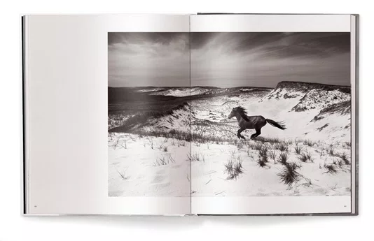 Livro Untamed Spirits: Horses From Around The World - Drew Queen Books