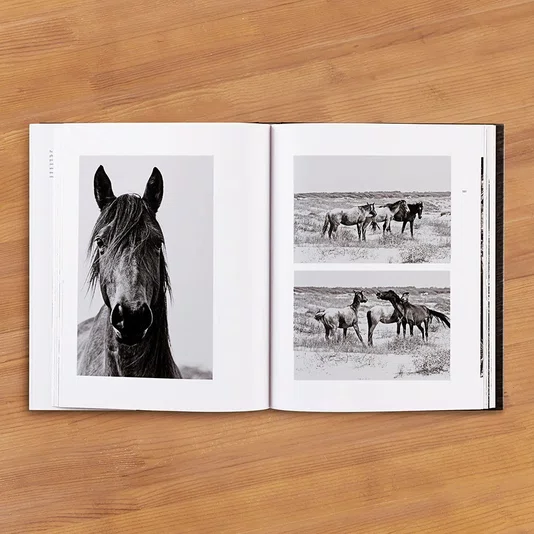 Livro Wild Horses Of Cumberland Island: Anouk Masson Krantz