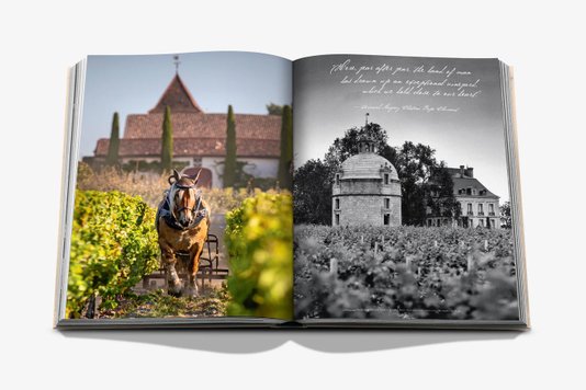 Livro Wine & Travel France - Assouline