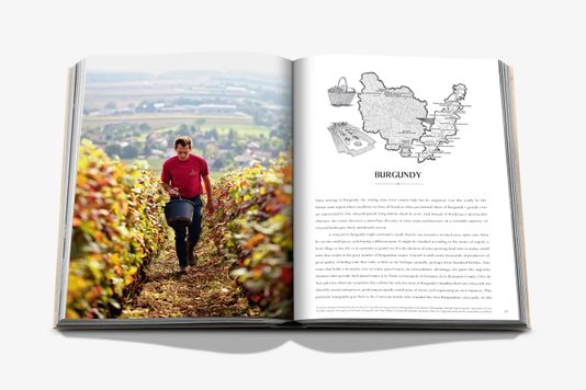 Livro Wine & Travel France - Assouline