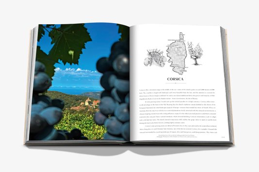 Livro Wine & Travel France - Assouline