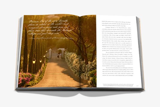 Livro Wine & Travel France - Assouline