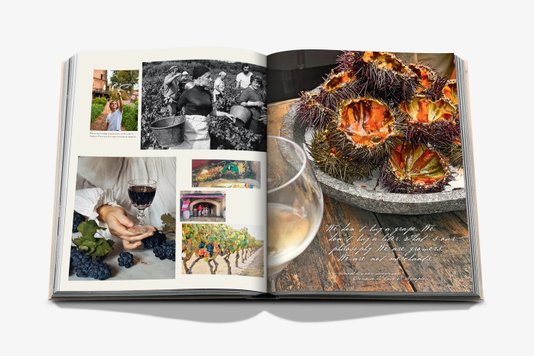 Livro Wine & Travel France - Assouline