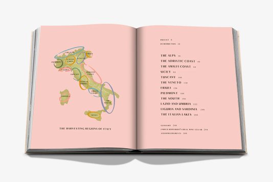 Livro Wine & Travel Italy - Assouline