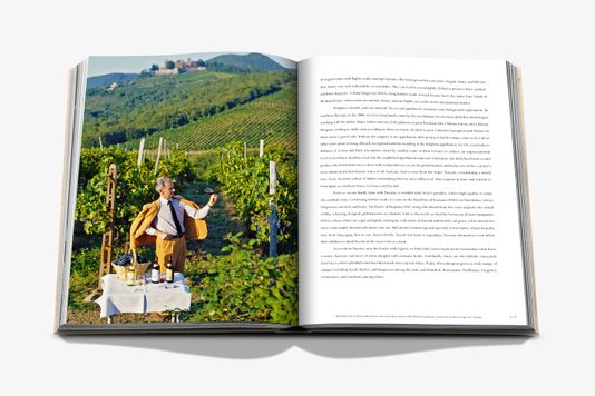 Livro Wine & Travel Italy - Assouline