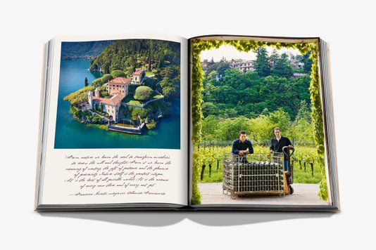 Livro Wine & Travel Italy - Assouline