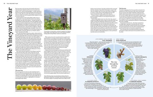 Livro World Atlas Of Wine - Jancis Robinson Vol 8 ED 2019