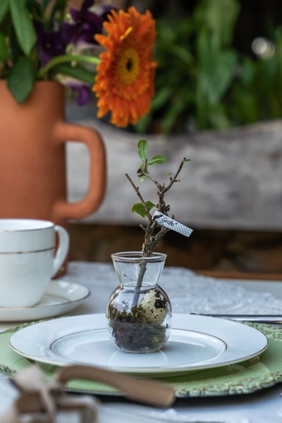 Mini Vaso de Mesa em Vidro Manu Fisch 6 x 7 cm