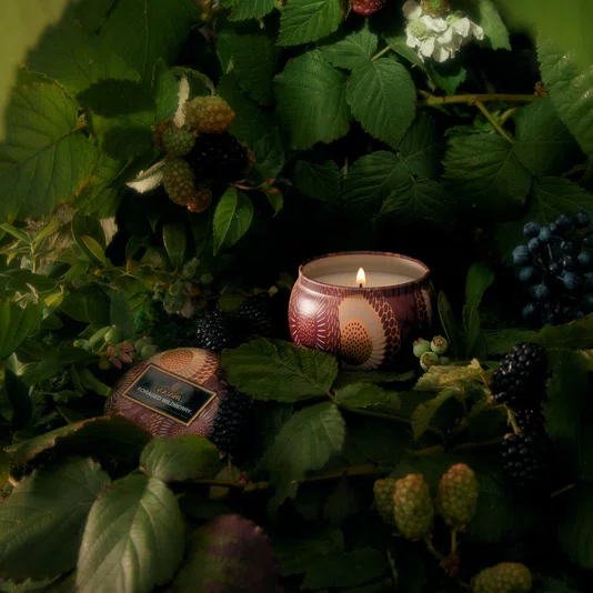 Mini Vela Lata Foraged Wildberry Voluspa 25 Horas