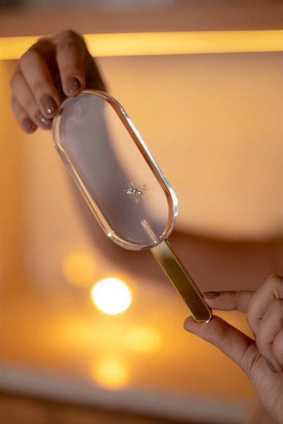 Palito Premiado Atração Inevitável Silver