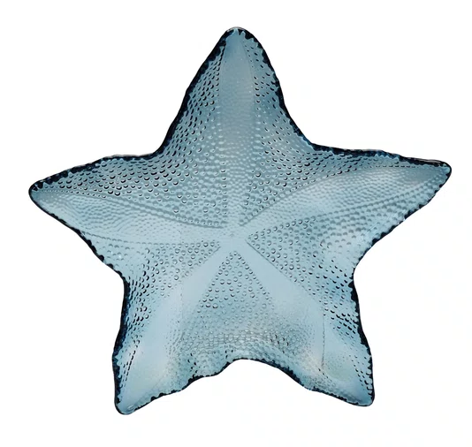 Petisqueira Acrílico Média Estrela Azul 28 cm