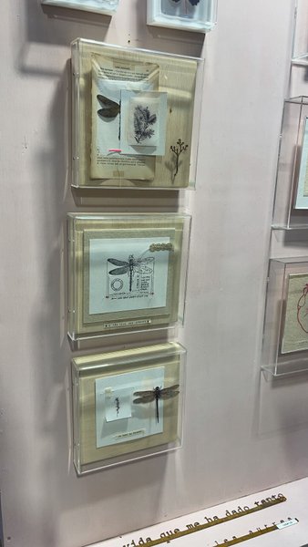Quadro Galleria Libélula No Rain No Flower Mercatto Casa