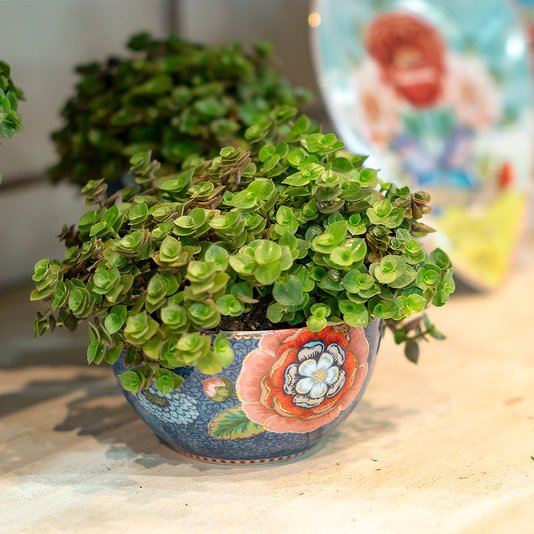 Tigela Bowl Spring to Life Pip Studio Azul 12 cm