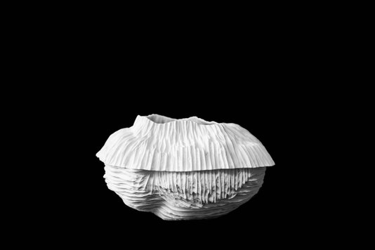 Vaso Linha Oceânica em Porcelana Nicole Toldi 17 x 27 cm