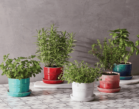 Vaso Para Ervas Com Bandeja Le Creuset Chambray 14 cm