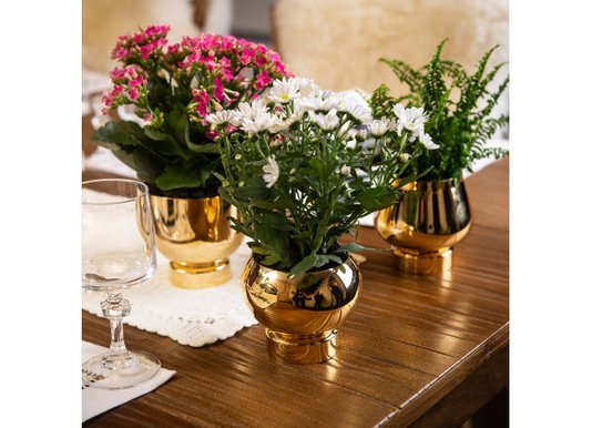 Vaso Paz Ouro Riva Prataria 24K