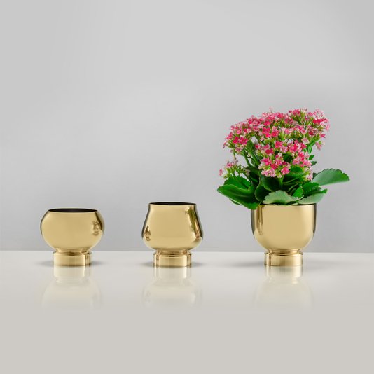 Vaso Paz Ouro Riva Prataria 24K
