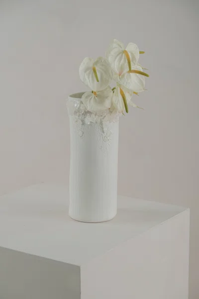 Vaso Série Superficie com Cristal Transparente Atelier Le Motif 25 cm