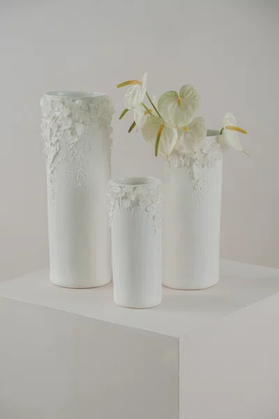 Vaso Série Superficie com Cristal Transparente Atelier Le Motif 25 cm
